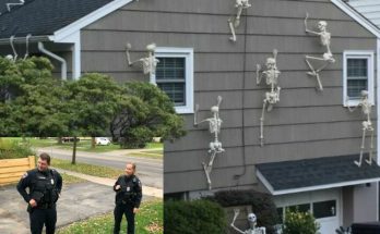 NEIGHBOR ASKS WOMAN TO REMOVE "MORBID" HALLOWEEN DECOR – HER RESPONSE GAINS ATTENTION ONLINE Halloween is the season for spooky displays, but one woman’s decorations were deemed “too much” by her neighbor. Despite her love for Halloween, she agreed to take down her carefully crafted graveyard display after he requested it. Her kindness in the face of the unusual complaint went viral on TikTok, inspiring viewers across the internet. ⬇️ Full story in comments