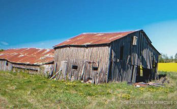 Men Mock Sister for Inheriting Old Barn, Money Falls at Her Feet as She Enters It – Story of the Day