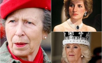 She is the Culprit! Princess Anne Unveils Camilla's "Crimes" Related to Princess Diana's Passing: Secrets Revealed After 30 Years. Full story below 👇👇👇