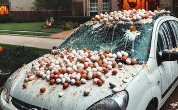 My neighbor pelted my car with eggs because he claimed it obstructed the view of his Halloween decorations