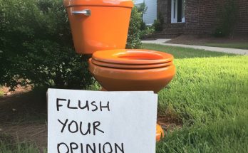 My Neighbor Installed a Toilet on My Lawn with a Note, 'Flush Your Opinion Here,' After I Asked Her Not to Sunbathe in Front of My Son's Window