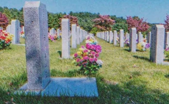 A Year after Son's Death, Woman Sees Grave of Her Daughter-In-Law at the Cemetery – Story of the Day