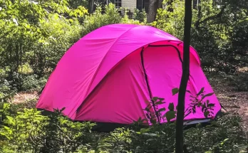 I Returned Home from My Daughter's Funeral to Find a Tent in My Backyard — I Went Pale at What I Found Inside