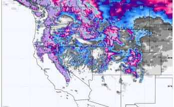 Pacific Northwest Faces