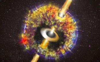 A purple circle with red and yellow fire within it and two yellow beams erupting from its poles An illustration of two colliding neutron stars birthing a black hole. (Image credit: O.S. SALAFIA, G. GHIRLANDA, CXC/NASA, GSFC, B. WILLIAMS ET AL.) Astronomers have witnessed the titanic collision between two neutron stars that resulted in the birth of the smallest black hole ever seen and forged precious metals like gold, silver, and uranium. The team's snapshot of this violent and powerful collision, which occurred 130 million light-years away from us in the galaxy NGC 4993, was created with a range of instruments, including the Hubble Space Telescope. It will hopefully paint a picture of the "past, present, and future" of the mergers of these dense dead stars. This could reveal the origins of elements heavier than iron, which can't be forged in even the most massive stars. The collision and merger of the neutron stars results in a powerful blast of light called a "kilonova." As the wreckage of this event expands at nearly the speed of light, the kilonova illuminates its surroundings with light as bright as hundreds of millions of suns. Related: James Webb Space Telescope sees lonely supermassive black hole-powered quasars in the early universe A team of researchers led by scientists for the Cosmic DAWN Center at the Neils Bohr Institute arrived at this new picture of neutron star mergers when they set about investigating the mysteries of kilonovas. "We can now see the moment where atomic nuclei and electrons are uniting in the afterglow," team member Rasmus Damgaard, a researcher at the Cosmic DAWN Center, said in a statement. For the first time, we see the creation of atoms, we can measure the temperature of the matter, and we can see the microphysics in this remote explosion." "It is like admiring three cosmic background radiation surrounding us from all sides, but here, we get to see everything from the outside. We see before, during, and after the moment of birth of the atoms." Sign up for the Live Science daily newsletter now Get the world’s most fascinating discoveries delivered straight to your inbox. Your Email Address Contact me with news and offers from other Future brands Receive email from us on behalf of our trusted partners or sponsors By submitting your information you agree to the Terms & Conditions and Privacy Policy and are aged 16 or over. The gold in your jewelry came from the universe's most violents events Neutron stars are born when stars at least 8 times as massive as the sun exhaust their fuel for nuclear fusion and can no longer support themselves against their own gravity. The outer layers of these stars are blasted away in supernova explosions, leaving a stellar remnant with a mass equal to between 1 and 2 suns crushed into a diameter of around 12 miles (20 kilometers). The collapse of the core forces electrons and protons together, creating a sea of particles called neutrons. This material is so dense that a mere sugar cube's worth of neutron star matter would weigh 1 billion tons if brought to Earth. That's about the same as cramming 150,000,000 elephants into the same space that a sugar cube occupies. It is probably no surprise that this extreme and exotic matter plays a key role in creating elements heavier than iron. A irregularly shaped near spherical blue cloud with nodules extending from it An illustration shows a cloud of material erupting from a collision of neutron stars (Image credit: NASA Goddard/CI Lab) Neutron stars don't always live in isolation. Some of these dead stars occupy binary systems along with a companion living star. In rare instances, this companion star is also massive enough to create a neutron star, and it isn't "kicked away" by the supernova explosion that creates the first neutron star. The result is a system with two neutron stars orbiting each other. These objects are so dense that as they swirl around each other, they generate ripples in spacetime (the four-dimensional unification of space and time) called gravitational waves that ripple through space, carrying away angular momentum. As the system loses angular momentum, the orbit of the neutron stars tightens, meaning that the neutron stars move closer to each other. This results in gravitational waves rippling away faster and faster, carrying away more and more angular momentum. This situation ends when neutron stars are close enough for their immense gravity to take over and drag these extremely dense dead stars together to collide and merge. This collision sprays out neutron-rich matter with temperatures of many billions of degrees, thousands of times hotter than the sun. These temperatures are so hot that they are similar to those of the rapidly inflating universe just one second after the Big Bang. An artist's depiction of colliding black holes causing ripples in the fabric of space-time. An artist's depiction of colliding neutron stars sending out ripples in spacetime called gravitational waves. (Image credit: R. Hurt/Caltech-JPL) Ejected particles like electrons and neutrons dance around the body, birthed by the colliding neutron stars, which rapidly collapse to form a black hole in a fog of plasma that cools over the next few days. Atoms in this cooling cloud of plasma quickly grab free neutrons via what is called the rapid neutron capture process (r-process) and also ensnare free electrons. This creates very heavy but unstable particles that rapidly decay. This decay releases the light that astronomers see as kilonovas, but it also creates lighter elements that are still heavier than iron, like gold, silver and uranium. This team saw the afterglow of particles being snatched to forge heavy elements like Strontium and Yttrium, reasoning that other heavy elements were undoubtedly created in the aftermath of this neutron star collision. "The matter expands so fast and gains in size so rapidly, to the extent where it takes hours for the light to travel across the explosion," team member Kasper Heintz, a researcher at the Niels Bohr Institute, said. "This is why, just by observing the remote end of the fireball, we can see further back in the history of the explosion. Closer to us, the electrons have hooked to atomic nuclei, but on the other side, on the far side of the newborn black hole, the 'present' is still just the future." RELATED STORIES —James Webb telescope spots 'feasting' black hole eating 40 times faster than should be possible —Black holes could be driving the expansion of the universe, new study suggests —1st image of Milky Way's 'black hole heart' has errors, study claims The team's results wouldn't have been possible without the collaboration of telescopes across the globe and beyond. "This astrophysical explosion develops dramatically hour by hour, so no single telescope can follow its entire story. The viewing angle of the individual telescopes to the event is blocked by the rotation of the Earth," team leader and Neils Bohr Institute researcher Albert Sneppen said in the statement. "But by combining the existing measurements from Australia, South Africa, and the Hubble Space Telescope, we can follow its development in great detail."