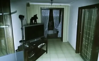 Things in My House Started Moving Around — I Installed a Security Camera and Was Shocked When I Saw the Footage