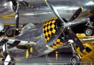 Why the P-47 Thunderbolt, a World War II Beast of the Airways, Ruled the Skies