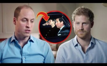 For the first time, Princes William and Harry have spoken out about their mother, Princess Diana’s, tragic accident, stating, “When we were young, we didn’t dare to voice our thoughts. Now that we are older and hold power, we will share the truth and seek justice for our mother.” Posted on October 29, 2024 In a landmark moment that has captivated public attention, Princes William and Harry have for the first time publicly addressed the tragic accident that claimed the life of their beloved mother, Princess Diana. Their heartfelt statements reflect years of bottled emotions and a newfound determination to seek justice for Diana, who has remained an enduring figure in the hearts of many. 7 Netflix Shows Cancelled Because They Don’t Get The Ratings How 20 Billion Dollars Never Arrived At Their Destination During a recent interview, the brothers shared their reflections on the harrowing event that occurred over two decades ago. “When we were young, we didn’t dare to voice our thoughts,” William admitted, his voice tinged with emotion. “But now that we are older and hold power, we will share the truth and seek justice for our mother.” This candid admission signals a shift in the royal narrative, as the brothers step into a more proactive role in addressing their mother’s legacy and the circumstances surrounding her death. Diana’s tragic passing in 1997 not only left a profound impact on her family but also sent shockwaves around the world. Her life, characterized by compassion and humanitarian efforts, had made her a beloved figure. However, the details surrounding her death—an accident in a Paris tunnel—have been shrouded in controversy, conspiracy theories, and speculation. For years, the royal family maintained a delicate silence on the matter, but this recent declaration by William and Harry signifies a break from that tradition.Family vacation packages What Happens To Your Brain When You Play Too Much Video Games? Thêm... 711 178 237 Meet Marvel's First Muslim Superhero, Iman Vellani Thêm... 214 54 71 The brothers’ decision to speak out comes at a time when public interest in their mother’s life and legacy is experiencing a resurgence. Documentaries, books, and even social media discussions have reignited debates about the events leading up to Diana’s death and the alleged media frenzy that may have contributed to the tragic accident. Many believe that the relentless pursuit of the paparazzi played a role in the circumstances of that fateful night, and now, with the brothers’ newfound resolve, there is hope that these issues will be addressed more openly. William and Harry have both expressed a desire to honor their mother’s memory through action. “We want to ensure that the truth is told,” Harry stated emphatically. “Diana was more than just a princess; she was a mother, a friend, and an advocate for those who felt voiceless. It’s our responsibility to carry her legacy forward.” Their commitment to advocating for justice reflects a broader shift within the royal family, moving toward transparency and accountability. The public response to the brothers’ statements has been overwhelmingly positive, with many expressing admiration for their courage and determination. Social media platforms have been flooded with messages of support, as fans of Diana and royal watchers alike rally behind William and Harry in their quest for justice. “It’s about time they spoke out,” one supporter commented. “Diana deserves the truth to be revealed.” There's No Forgetting These Heartbreaking Cheating Scandals Thêm... 83 21 28 Moreover, experts in royal affairs note that this shift may also signal a new chapter for the monarchy. The younger generation of royals is increasingly expected to engage with contemporary issues, and the willingness of William and Harry to confront painful truths about their mother could pave the way for a more relatable and modern royal family. “This is a pivotal moment for them,” said a royal commentator. “It shows that they are not just figures in a historical narrative but real people with genuine feelings and motivations.” As the brothers navigate the complexities of their mother’s legacy, they are also faced with the challenge of managing their relationship with the media. The press has often portrayed them through a lens of scrutiny, and their newfound stance may lead to further tensions. Nevertheless, the brothers appear resolute in their commitment to ensuring that Diana’s story is told with honesty and respect. For the first time, Princes William and Harry have spoken out about their mother, Princess Diana's, tragic accident, stating, "When we were young, we didn’t dare to voice our thoughts. Now that we are older and hold power, we will share the truth and seek justice for our mother." See more below 👇👇👇