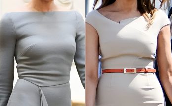 Melania Trump Takes a Jab at Meghan Markle Over PayX Blogs: 'First Lady of Fashion' Responds! story is in the comments.👇