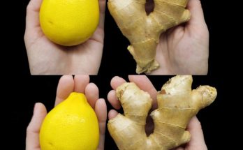 Lemon and Ginger: A Powerful Duo for Your Health