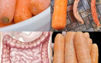 Revitalize Your Intestines and Liver in Just 3 Days with This Carrot Detox Plan