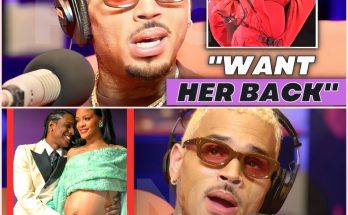 SHOCKING NEWS: Chris Brown Shocks With Unexpected Reaction To Rihanna’s Pregnancy Again.