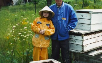 I THOUGHT MY LATE GRANDFATHER ONLY LEFT ME OLD BEEHIVES, UNTIL I LOOKED INSIDE My grandfather passed away. In his will, he left all his money (millions of dollars) to my sibling and his children. Everyone got something except me. It hurt me a lot because I was the one looking after him in his last years... I was broken, but the lawyer said, "Your grandfather loved you more than anyone," and gave me an envelope! Everyone laughed at me, and I started crying. I opened the envelope and saw everyone's jaw on the floor! It was an address to our grandfather's old apiary.👇