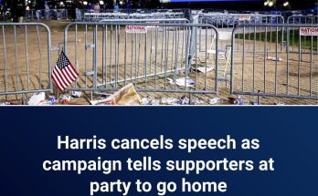 Trump claims victory, Harris skips party: The biggest surprises of election night