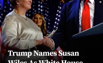 Trump Names Susan Wiles as White House Chief of Staff