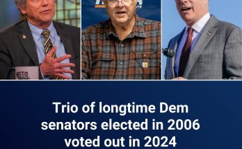 In & Out: Trio of longtime Dem senators elected same year were voted out in 2024