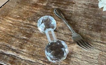 Found it in my in-laws drawer where they had butter dishes etc What’s this?? Fork there for scale.