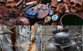 Stunning World War II Artifacts Unearthed in Swamps—You Won't Believe What's Inside!