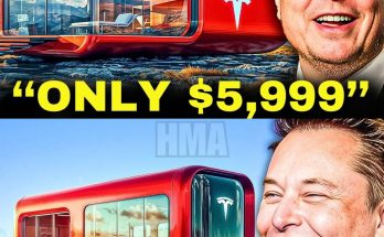 Elon Musk JUST REVEALED $5999 Tesla Tiny House For Sale With Black Friday! – hmai