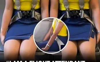 Flight Attendant Reveals Surprising Reason Why Cabin Crew Sits On Their Hands During Take Off and Landing