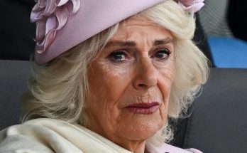 Queen Camilla: Major health update after chest infection