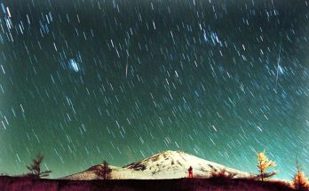 The Leonid meteor shower is set to peak on Sunday and the early hours of Monday morning