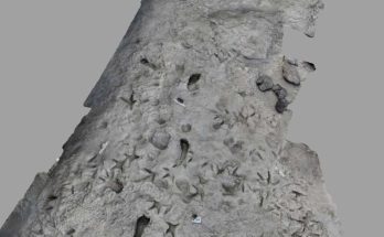 A fossil first: Scientists find 1.5-million-year-old footprints of two different species of human ancestors at same spot