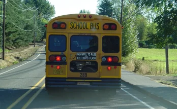 I Saw a Child on the School Bus Hitting the Back Window and Yelling for Help