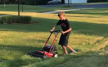 My Neighbor Asked My 12-Year-Old Son to Mow Her Lawn, Then Refused to Pay – She Didn't See My Payback Coming