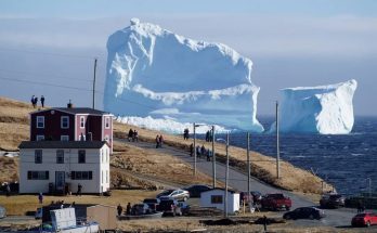 Iceberg tourists flock to Newfoundland town