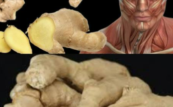 What Happens To Your Body When You Eat Ginger