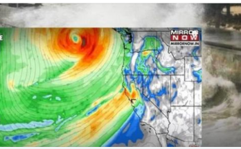 Cyclone Emergency Declared Across Three States