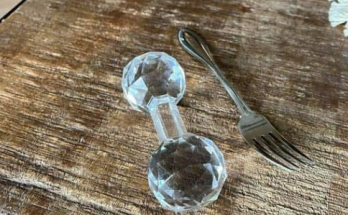 Found it in my in-laws drawer where they had butter dishes etc What’s this?? Fork there for scale.