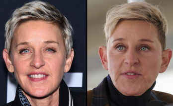 Ellen DeGeneres And Family Leave The United States