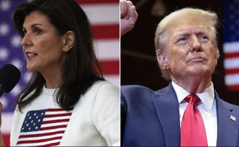 Nikki Haley responds after Trump says she won't be part of new cabinet, says she wishes him 'great success'