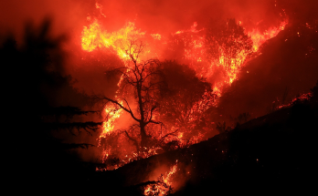 Wind-whipped California brush fire remains out of control and spreading 'dangerously fast'