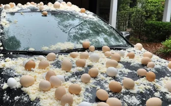 My Neighbor Threw Eggs at My Car Because It Was 'Blocking the View' of His Halloween Decorations