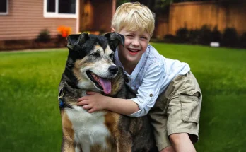 A Rescue Dog Came Home with Us — The Next Night, My 8-Year-Old Son Disappeared