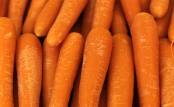 E. Coli Outbreak Affecting 18 States Linked to Organic Carrots — Details