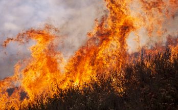 Devastating Wildfire Rages across Ventura County — Details