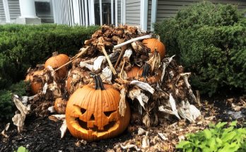 My Neighbors Threw Their Rotten Halloween Decorations in My Yard So I Would Take Them Away – But I Taught Them a Lesson