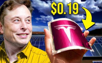 BREAKING: Elon Musk’s $0.19 Solar Panels Set to REV0LUTIONIZE Energy and Leave Fossil Fuels in the DUST – maily