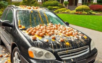 My Neighbor Egged My Car Over Halloween Decorations—You Won’t Believe His Reason