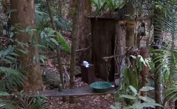 Extremely grim truth about having to empty the dunny in I'm A Celeb camp