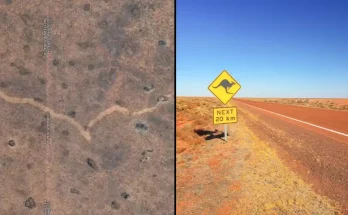 Man looking through Google Earth makes shocking discovery in the Australian outback Satellite images of the Australian outback showed something very unexpected