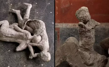 Scientists studying Pompeii make major DNA discovery about eruption that covered city Pompeii was destroyed by the eruption of Mount Vesuvius in 79 AD