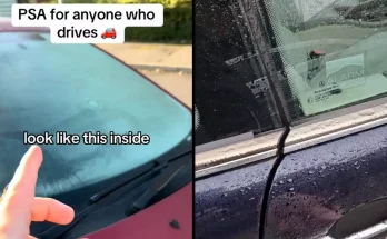 Drivers who experience fogged up windows inside car every morning can instantly solve problem The 'game changing' hack costs less than a tenner