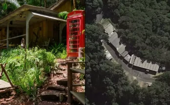 I'm A Celebrity 2024 camp has 'fake' jungle and roof over it I'm a Celeb is back...but apparently, the show's camp isn't actually in a jungle