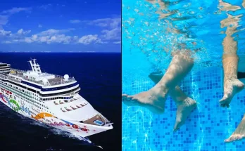 Strict rules people have to follow on 2,000-person nude cruise after man shared one 'everyone knew' to follow There are certain times when passengers can't walk around free willy