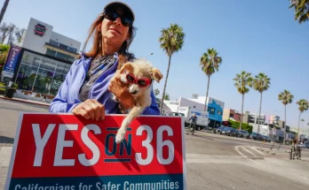 Californians overwhelmingly pass anti-crime Proposition 36 measure that Dem Gov. Gavin Newsom strongly opposed